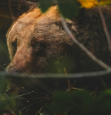 Maximizing Your Wealth: The Role of Estate Planning in Financial Success