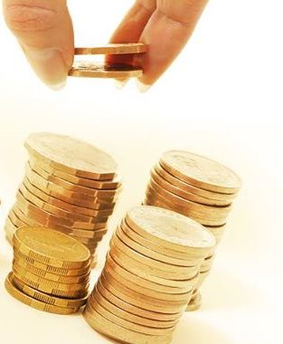 Role and Types of Microfinance Institutions in Indonesia